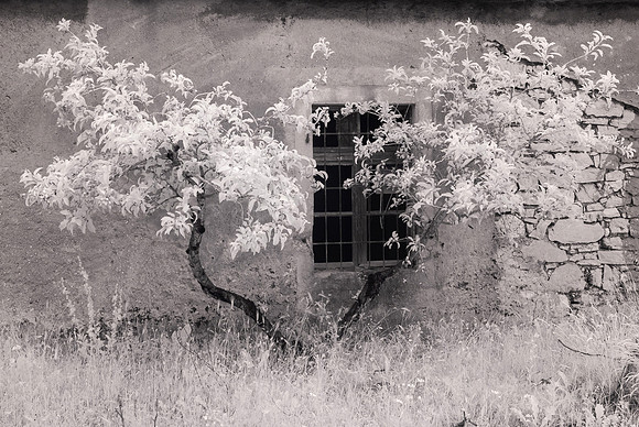Abandoned Sibenik, Krka, Croatia