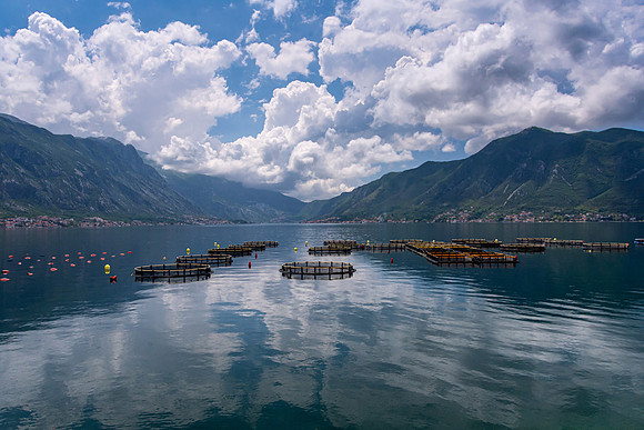 Bay of Kotor, Montenegro