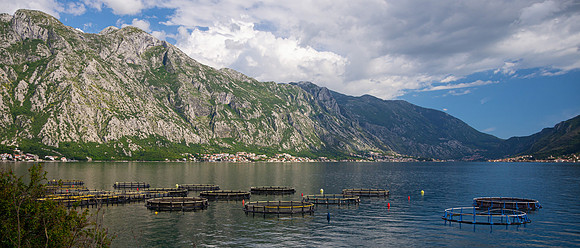 Bay of Kotor, Montenegro