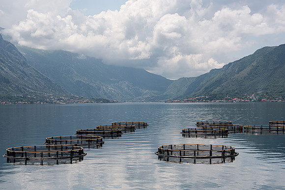 Bay of Kotor, Montenegro