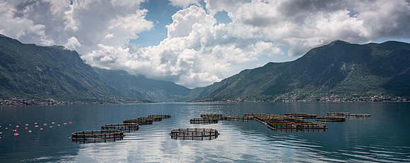 Bay of Kotor, Montenegro