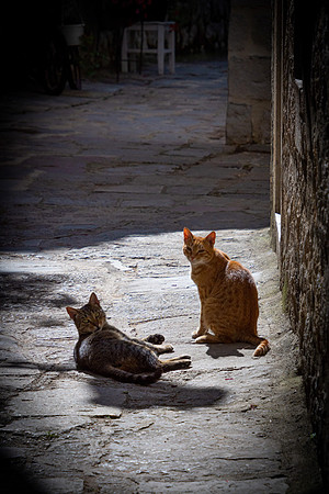 Kotor, Montenegro