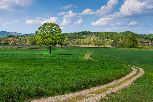 Krka Valley, Slovenia