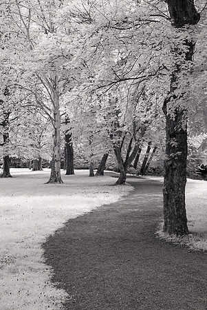 Otocec, Slovenia, Infra-red