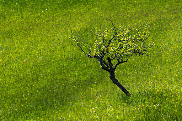 Catez ob Savi, Slovenia