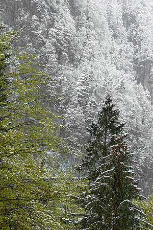 Logarska Dolina, Slovenia
