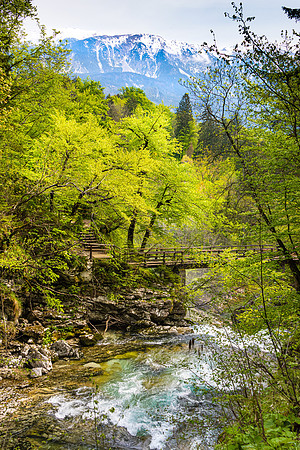 Vintgar Gorge, Slovenia