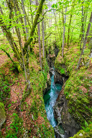 Mostnica River Gorge, Slovenia