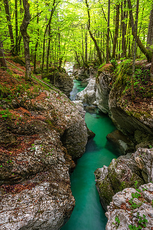 Mostnica River Gorge, Slovenia