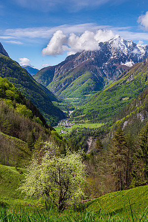 Slovenian Alps