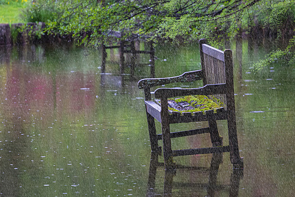 Volcje Potok Arboretum