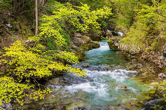 Vintgar Gorge, Slovenia