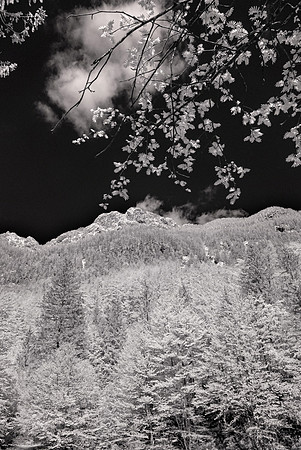Logarska Dolina, Slovenia, Infra-red