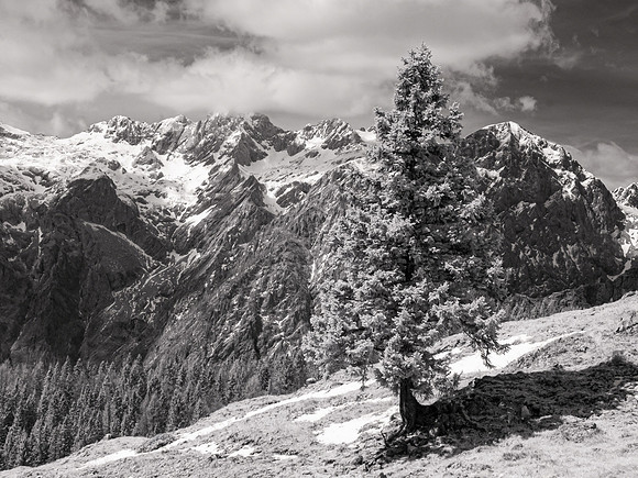 Velika Planina, Slovenia, Infra-red