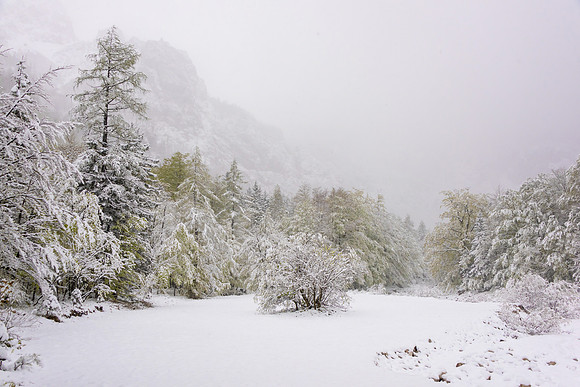 Logarska Dolina, Slovenia