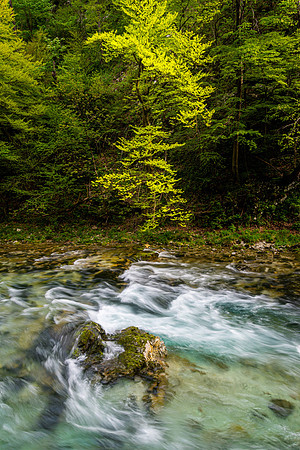 Vintgar Gorge, Slovenia