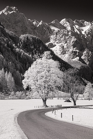 Logarska Dolina, Slovenia, Infra-red