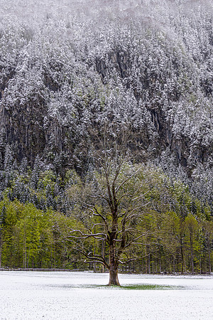 Logarska Dolina, Slovenia