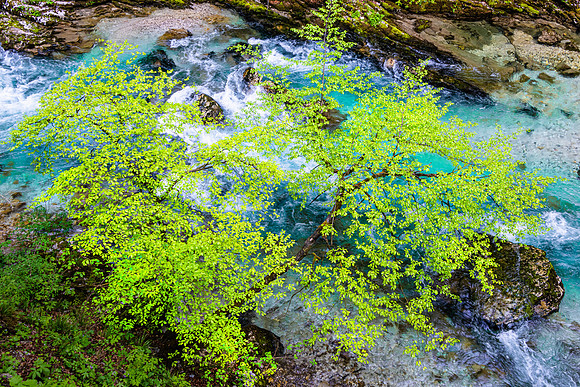 Vintgar Gorge, Slovenia