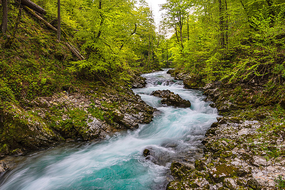 Vintgar Gorge, Slovenia
