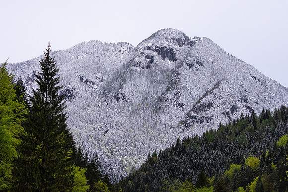 Logarska Dolina, Slovenia