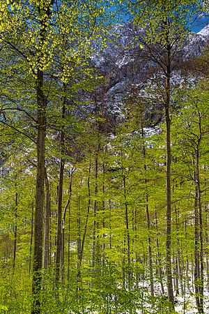 Logarska Dolina, Slovenia