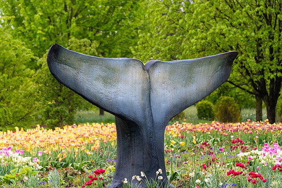Volcje Potok Arboretum, Slovenia
