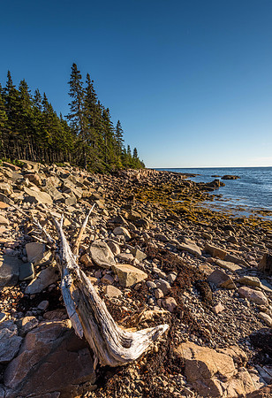 Schoodic Peninsula, Maine