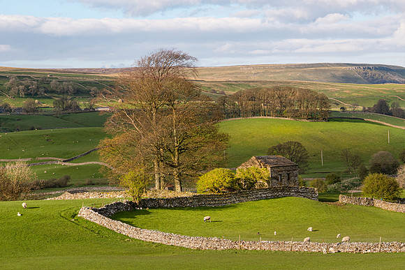 Wensleydale