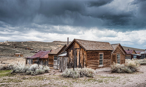 Bodie VII
