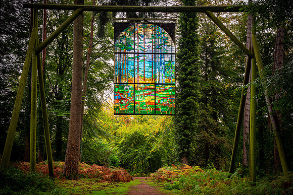Forest of Dean