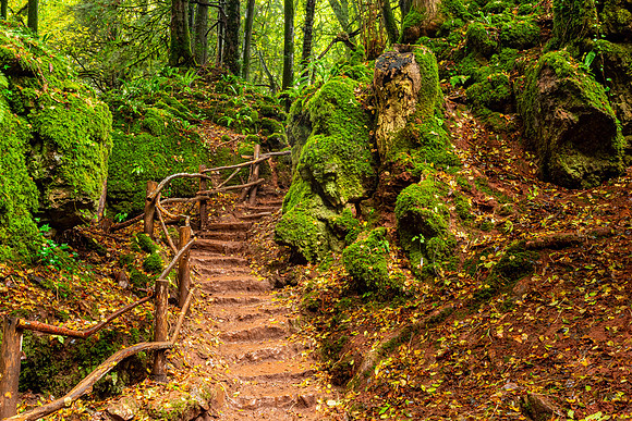Puzzlewood, Forest of Dean