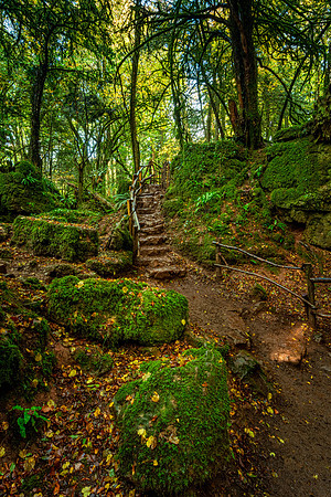 Puzzlewood, Forest of Dean