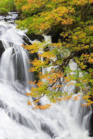 Swallow Falls, Snowdonia