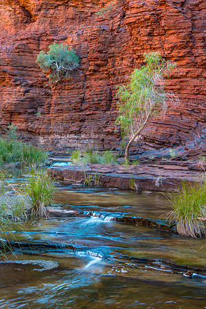 Kalamina Gorge II
