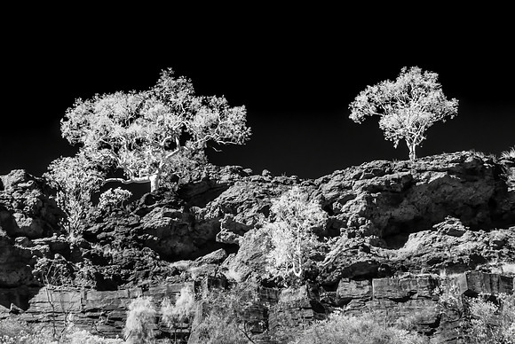 Infra-red Trees II, Weano Gorge