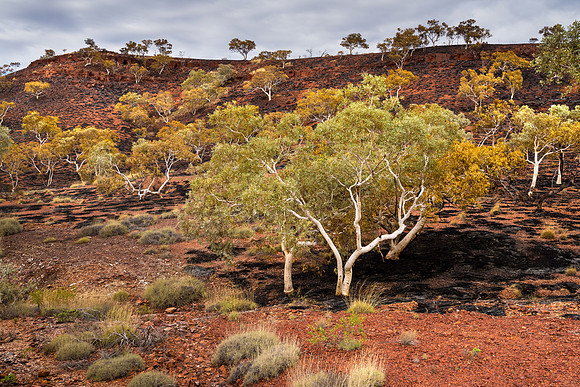 Karijini Burn II