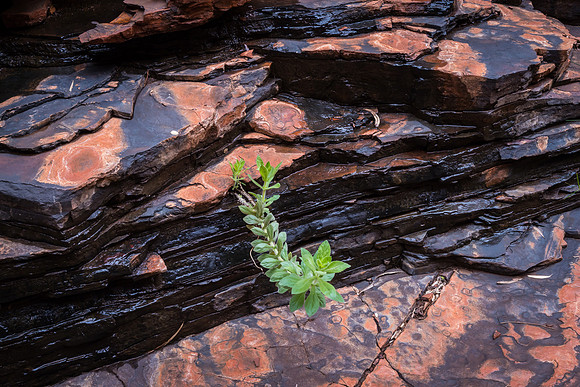 Weano Gorge Rocks VI