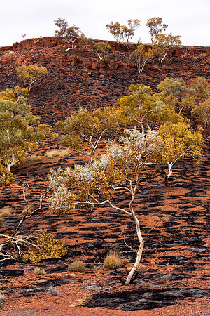 Karijini Burn I