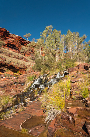 Fortescue Falls II