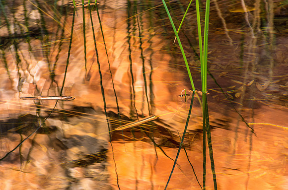 Weano Gorge, Reflections I