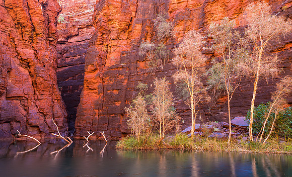 Junction Pool II