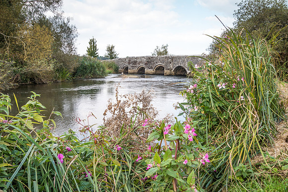 The Old Wool Bridge across the Frome