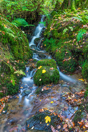 Stock Ghyll Force, Lake District
