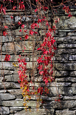 Chapel Stile, Lake District