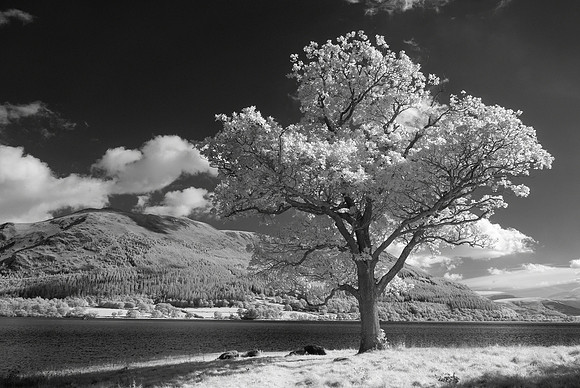 Bassenthwaite Lake, Lake District
