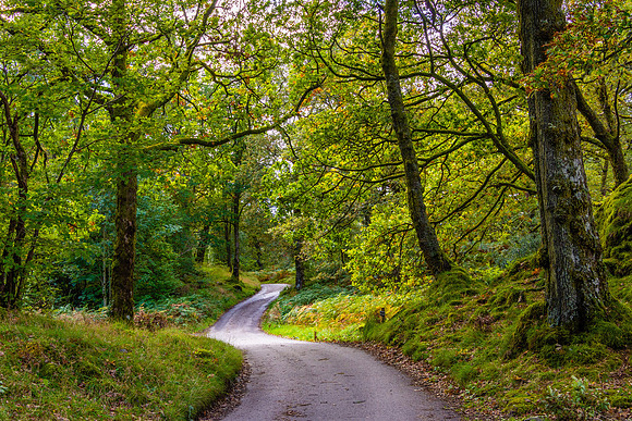 Surprise View, Lake District