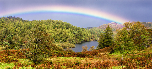 Tarn Hows, Lake District