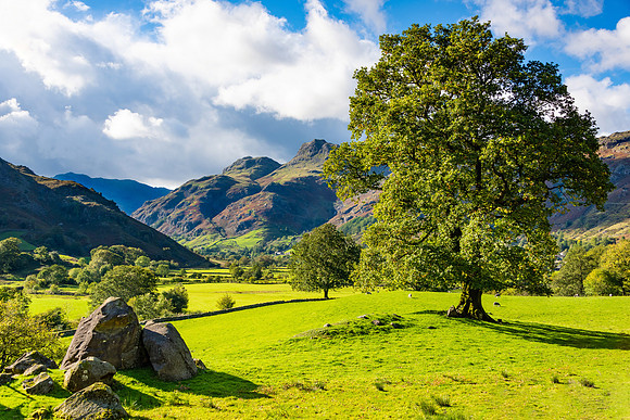 Great Langdale, Lake District