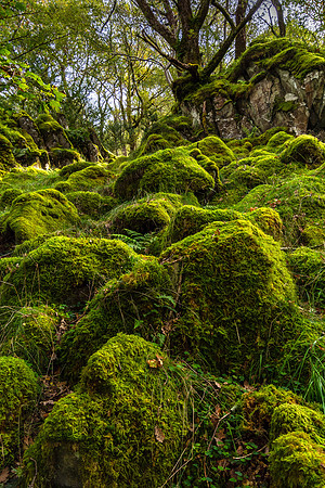Watendlath Valley, Lake District